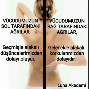 12046621_429211000608528_3007655527804163119_n[1]