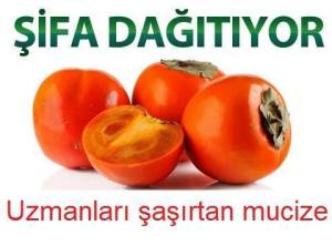 12096610_510244172475533_5582694904260012578_n[1]