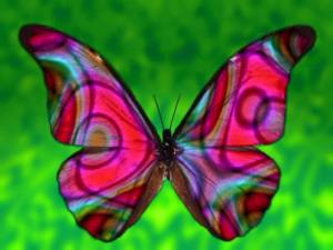 12115738_908782042562088_3380755023816181756_n[1]