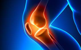 12118903_697490017048963_6869199600035935701_n[1]