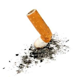 12122687_538691772945613_4068145115802262771_n[1]