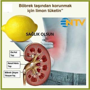 12141624_931077943625874_7697660456663265243_n[2]