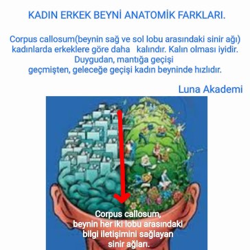 12143271_426325510897077_850955685665048187_n[1]