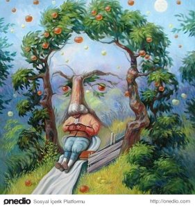 55fc38af0da6efd374c2cc95[1]