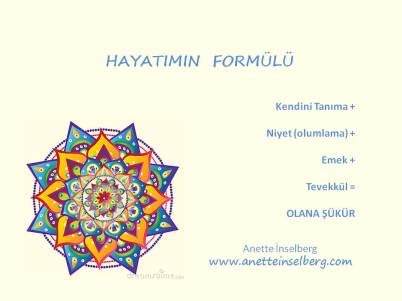 Hayatımın Formülü - picture