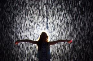 moma-rain-room[1]