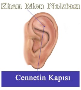 Shen-Men-noktası-2[1]