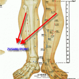 zusanli-noktası2-260x260[1]