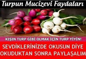 10357518_933121030088232_9091873669217690009_n[1]