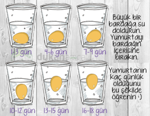 10583812_758781657515923_8994611680096447822_n[1]