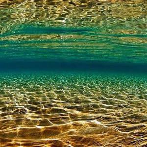 11057845_1430467697247584_3745554589566593221_n1[1]