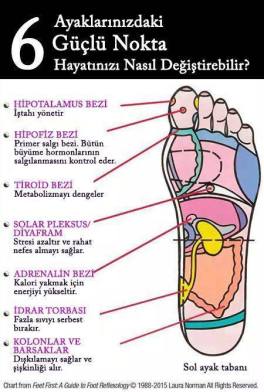 11666291_934317586635243_557359447648387764_n[2]