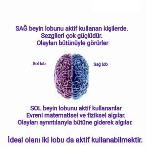 12009724_934676253266043_1082199985590760487_n[1]