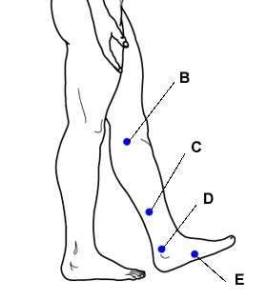 12039271_710579872408137_8555077021117544154_n[1]