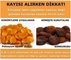 12189159_934657746601227_3737442859335840649_n[1]