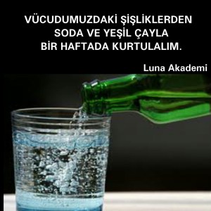 12196310_432889066907388_6745148307040483388_n[1]