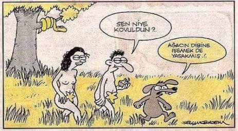 12208565_720367518094787_9135963113742437777_n[1]