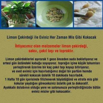 12219359_936182073115461_4950709018097610731_n[1]