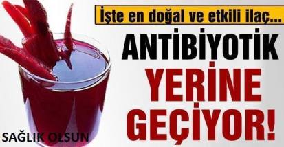 12227010_935932796473722_8552532842008206301_n[1]