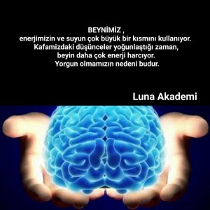 12227841_432393160290312_9024709828467584808_n[1]