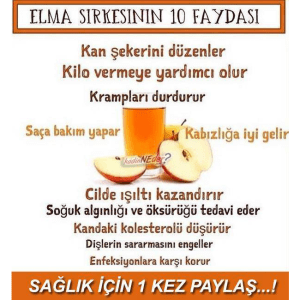 12241174_742910789187059_2719482566517006419_n[1]