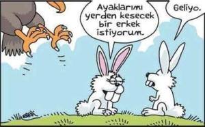 12243539_767880289984490_8945062704630087898_n[1]