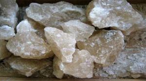 12247194_10156222261550557_6294250351430010341_n[2]