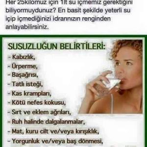 12249668_939484636118538_1397680307171231631_n[1]