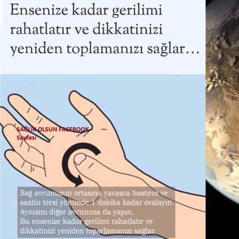 12249711_938685542865114_1420777573323656280_n[1]