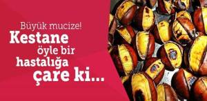 12249759_939534682780200_1906668573273325539_n[3]