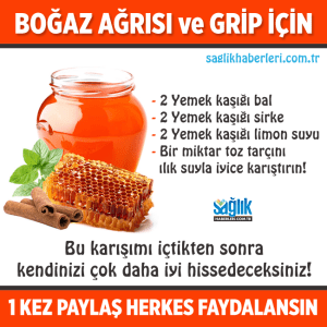 12289643_745111298967008_6228437494327537492_n[1]