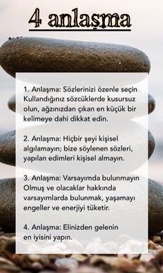 1610998_540033219489811_3844544807049077777_n[1]