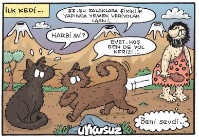 iltem444-201510270122390690-CA9B1_800x800gs[1]