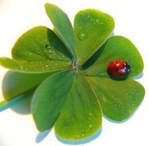 perihanmutlu_1335821990176[1]