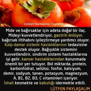 10343689_759261717551966_7209326386639476977_n[1]