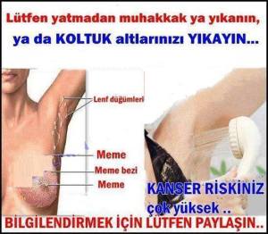 10406457_755728251238646_4441232987899288037_n[1]