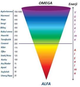 11214328_10153235971032918_7180920070720763799_n[1]