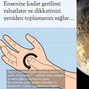 11231902_746280022183469_2579195756459749608_n[1]