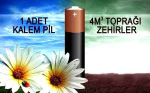 12246606_850239725073381_7440372862384625304_n[2]