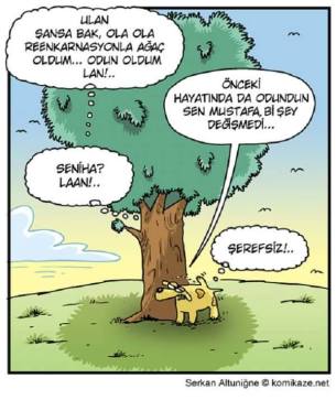 12274552_1001341596578434_1759024025477378327_n[1]