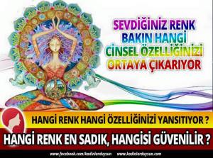 12274669_520395754793791_3510692886833381836_n[1]