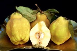 12278986_10156249082025557_219062608560221178_n[1]