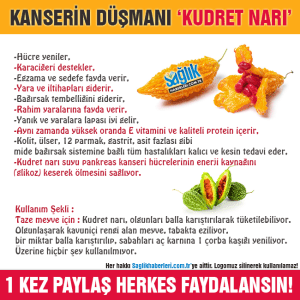 12311309_750499095094895_6282410013557159643_n[1]