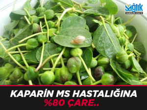 12316552_752725498205588_4095283867628054688_n[1]