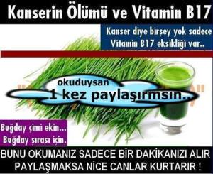 12342650_748838998594238_5039846052746295308_n[1]