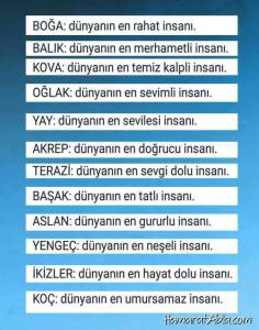 12345563_155556361467743_1549519568388482001_n[1]