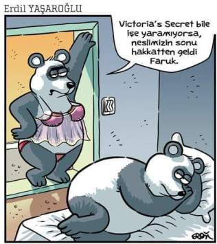 12346519_967287563331900_7999740966839377879_n[1]