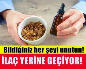 12360284_526576970842253_2139932946108627539_n[1]