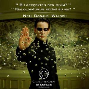 12373314_1163141333703834_5045364290865587897_n[1]