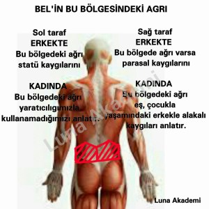 12391047_441985032664458_6346110658878621789_n[1]